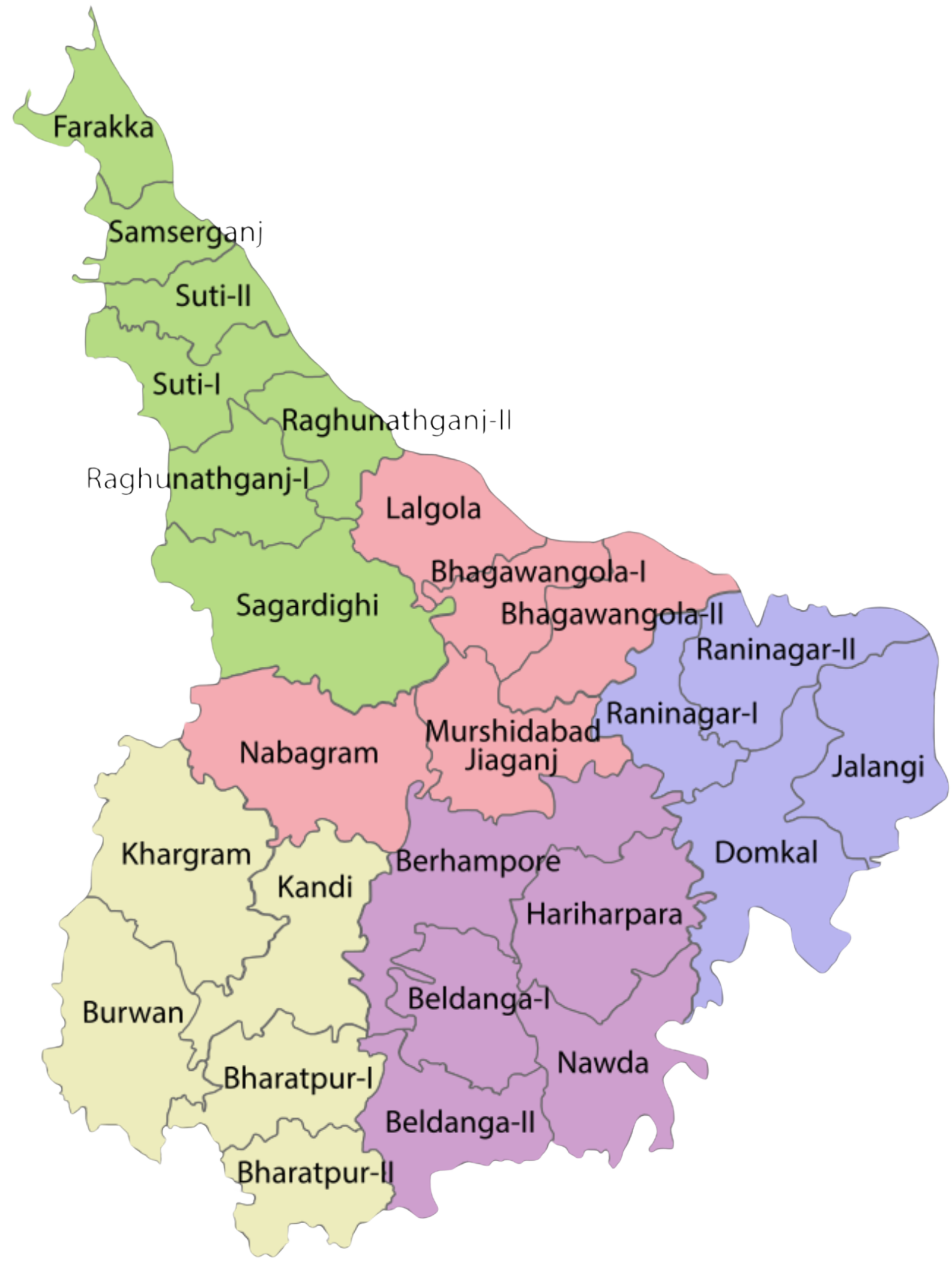 Pet and human health illustration